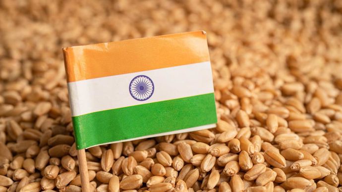 bff54f3c-8-le-prix-du-ble-en-inde-est-totalement-deconnecte-du-marche-mondial