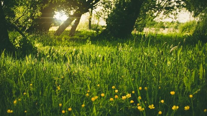 printemps