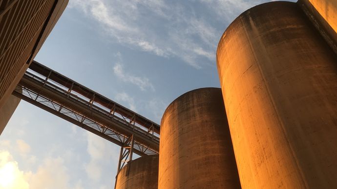bebd52c5-3-les-prix-des-cereales-se-stabilisent-sur-les-marches-les-huiles-grimpent