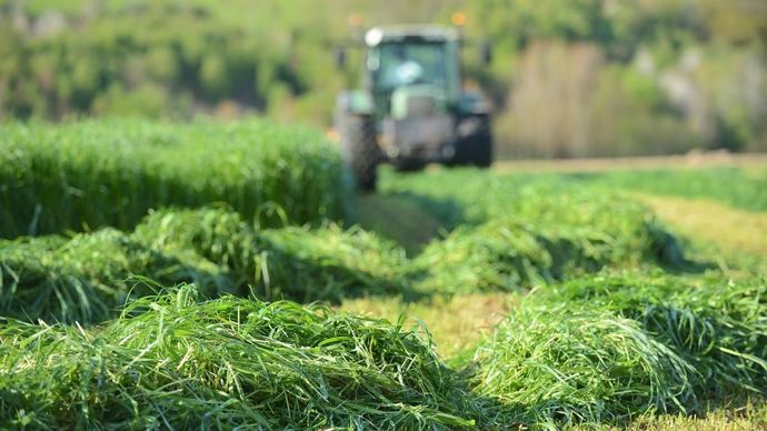 fauche-herbe-s.leitenberger