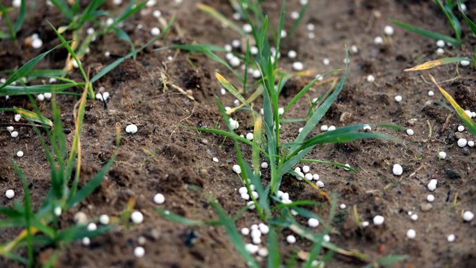 66f0ca33-4-une-usine-geante-d-engrais-decarbone-annoncee-dans-les-hauts-de-france