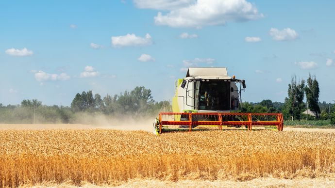 9ca7c604-f-les-cours-des-cereales-ont-devisse-avec-le-debut-des-moissons