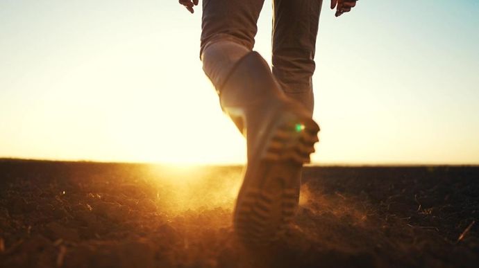 Eleveur-en-bottes-champ-crepuscule-levee-jour-adobe-stock-maxximmm