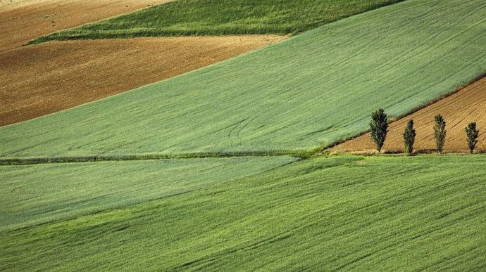 nature-2607643_1920