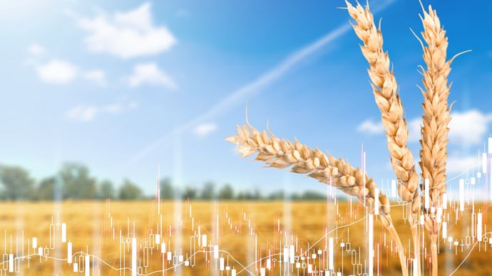 74479bf0-0-les-prix-mondiaux-des-cereales-rechutent-malgre-la-mauvaise-moisson-francaise
