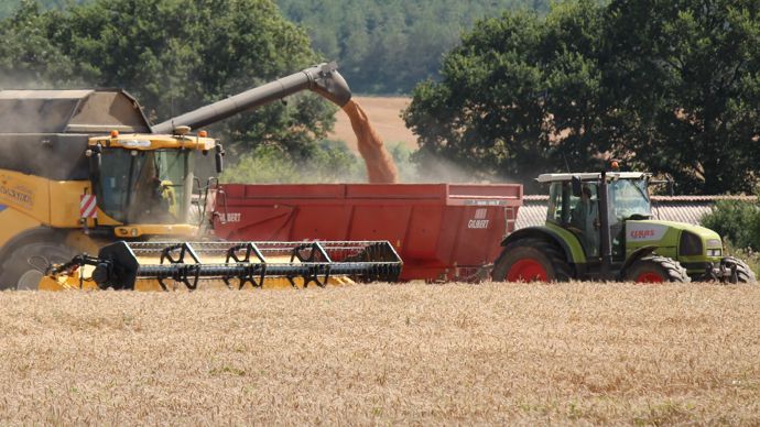 00d133c1-8-l-abondance-de-cereales-maintient-les-prix-orientes-a-la-baisse