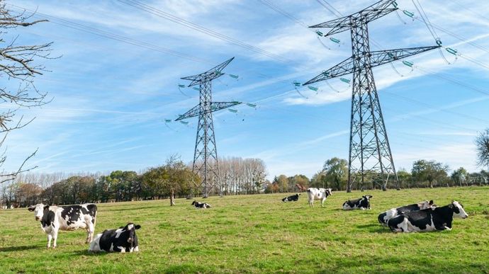 VachesligneElectriqueS.Leitenberger