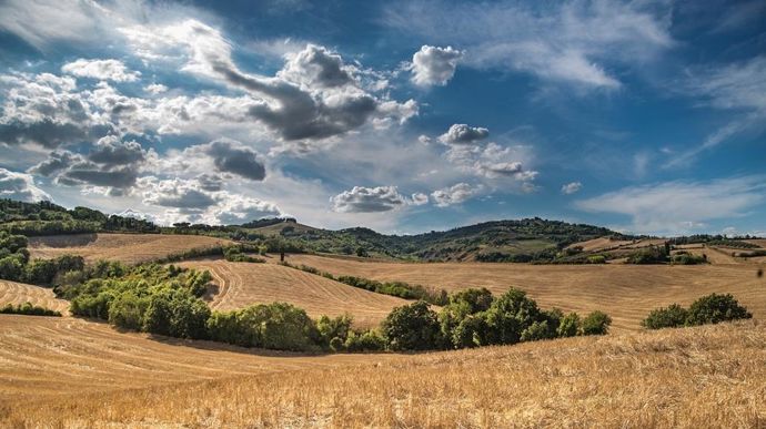 paysage-ete