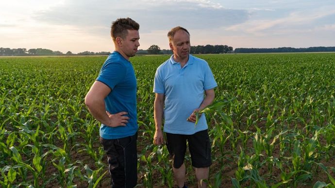 deux-agriculteurs-dans-champ-de-mais-adobe-stock-Countrypixel