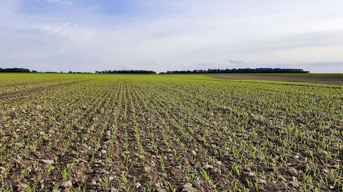 BLEPAYSAGESEMIS-crEditNadEgePETITagri_zoom_