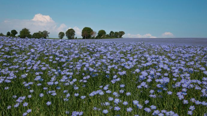 AdobeStock_204858520