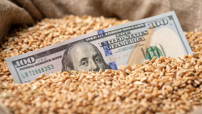 d52887f4-9-les-marches-agricoles-sous-influence-d-un-dollar-en-baisse