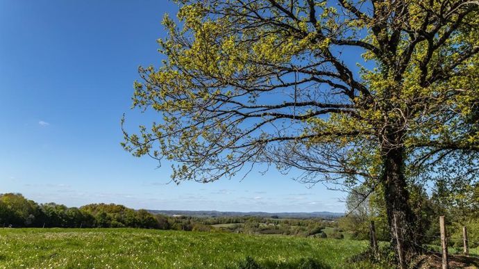 paysage-printemps