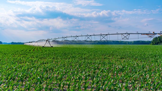 2f293a14-f-face-a-la-secheresse-des-agriculteurs-du-nord-se-raccrochent-a-l-irrigation