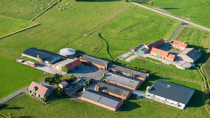3c612224-8-pac-l-union-europeenne-promet-des-flexibilites-aux-agriculteurs