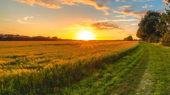 AdobeStock_197281614