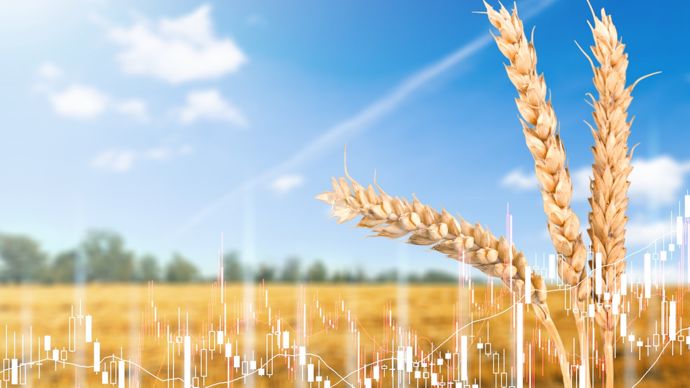 448ae548-3-biocarburants-et-tempete-geopolitique-soutiennent-les-prix-du-soja-et-cereales