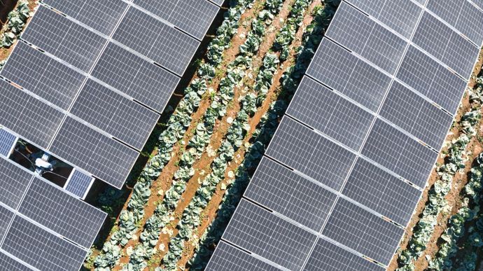 AdobeStock_1342188794