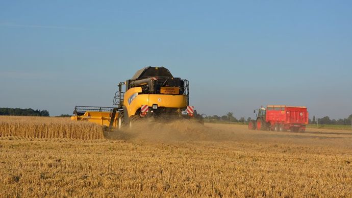 8f2cfa41-9-vers-une-production-cerealiere-mondiale-record-en-2025-selon-la-fao