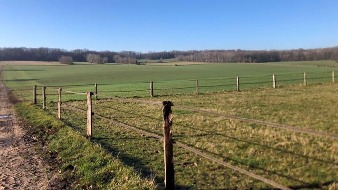 c978b600-f-compromis-trouve-au-parlement-sur-la-loi-duplomb