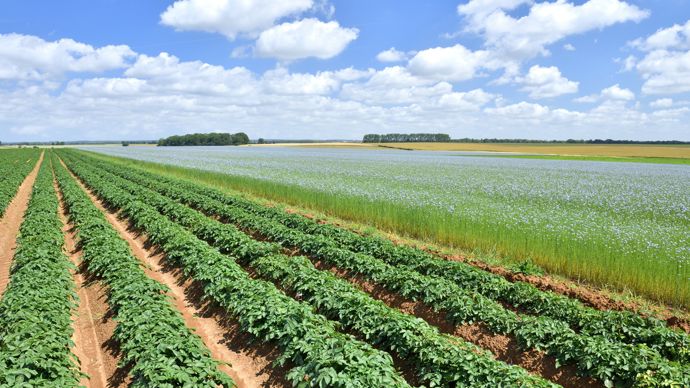 e829a899-3-l-anses-durcit-les-conditions-d-utilisation-du-cuivre-en-agriculture