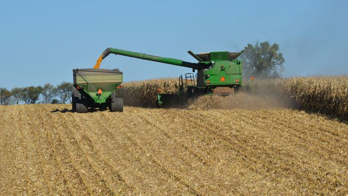 2bc8c514-0-la-recolte-record-de-mais-et-les-droits-de-douane-plombent-les-prix-des-grains