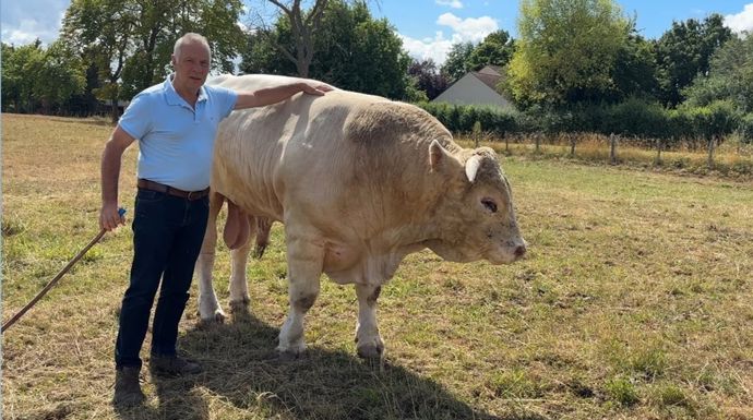 MichelBaudotcharolais