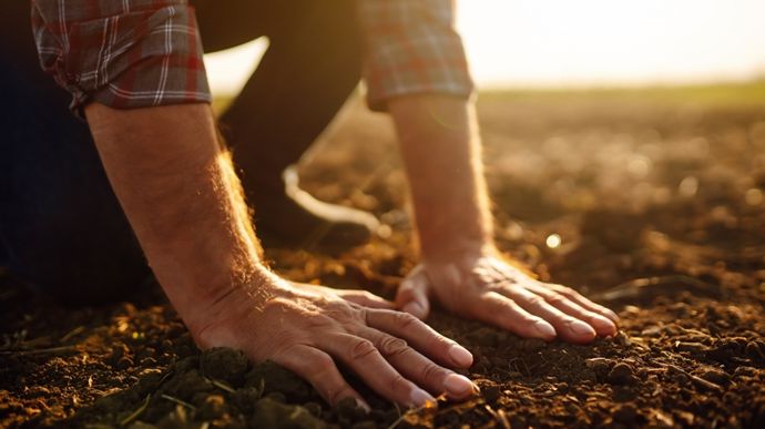 agriculteur-baissE-dans-un-champ-adobe-stock-maxbelchenko