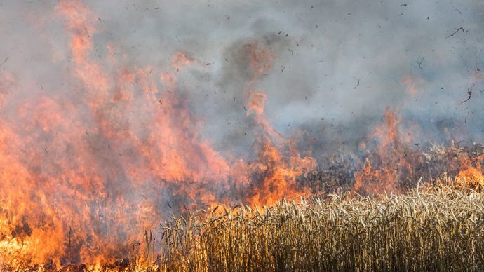 0bbf2dd9-b-l-intensification-des-feux-de-recoltes-indicateur-du-changement-climatique