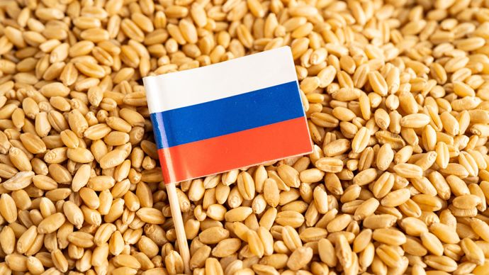 4a99638c-8-le-ble-russe-tire-les-cours-vers-le-bas-dans-un-marche-mondial-en-repli