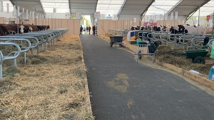 71ba4ace-f-dermatose-pas-de-vaches-au-sommet-de-l-elevage