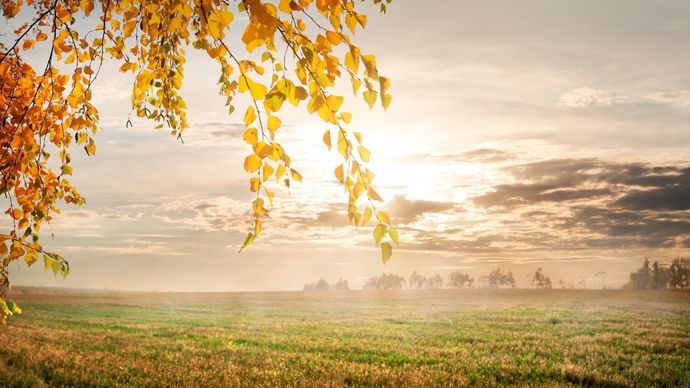 AdobeStock_72307180