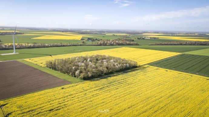 0533baeb-b-levee-de-bouclier-de-la-filiere-biocarburants-contre-la-hausse-de-la-fiscalite