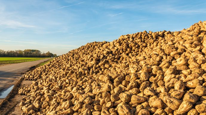 21c8f70a-2-neonicotinoides-des-transitions-en-cours-et-a-soutenir-selon-un-rapport 21c8f70a-2-neonicotinoides-des-transitions-en-cours-et-a-soutenir-selon-un-rapport