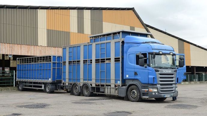 2a7562f3-a-dermatose-la-france-suspend-pour-15-jours-ses-exportations-de-bovins 2a7562f3-a-dermatose-la-france-suspend-pour-15-jours-ses-exportations-de-bovins