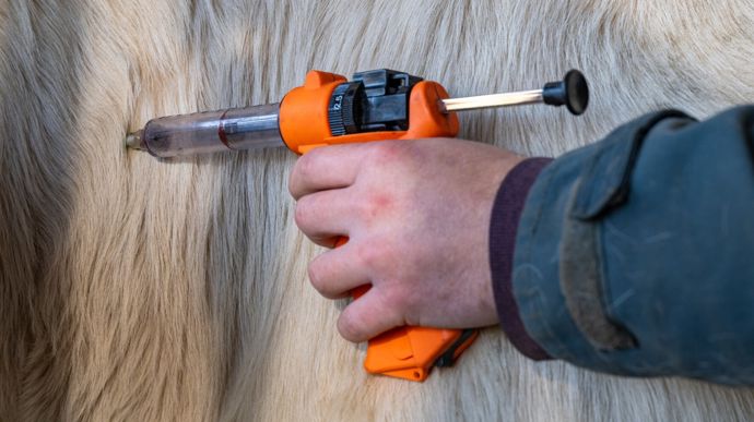 AdobeStock_1111942376 AdobeStock_1111942376