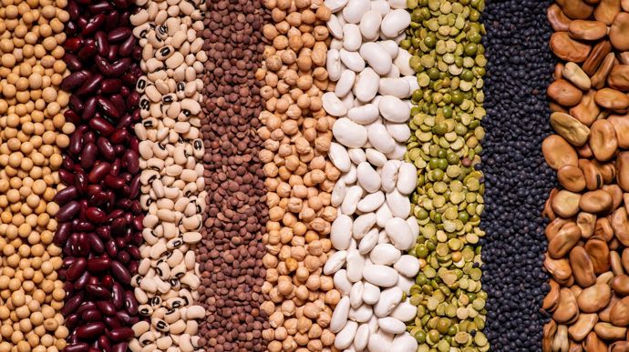 AdobeStock_352793721 AdobeStock_352793721