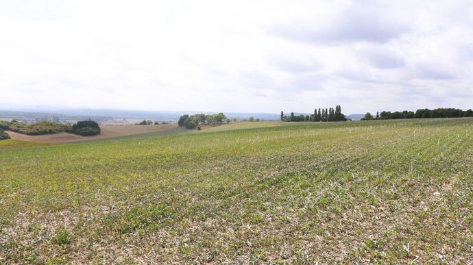 IMG_1078-Copie