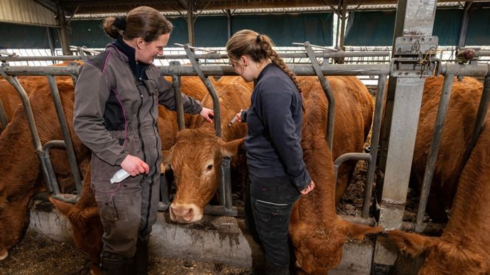 Vaccinationlimousines Vaccinationlimousines