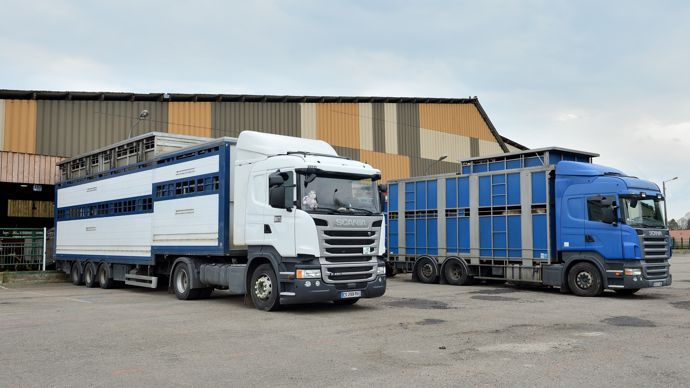 e7357381-8-dnc-le-gouvernement-autorise-la-reprise-de-l-export-de-vif-le-1er-novembre e7357381-8-dnc-le-gouvernement-autorise-la-reprise-de-l-export-de-vif-le-1er-novembre