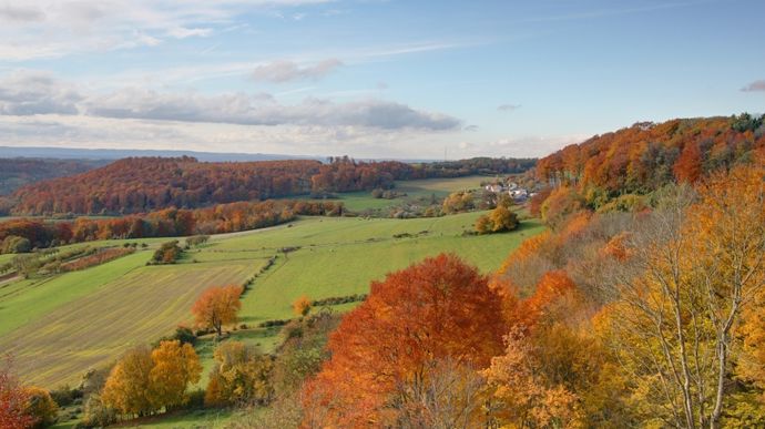 paysagelorrainautomne