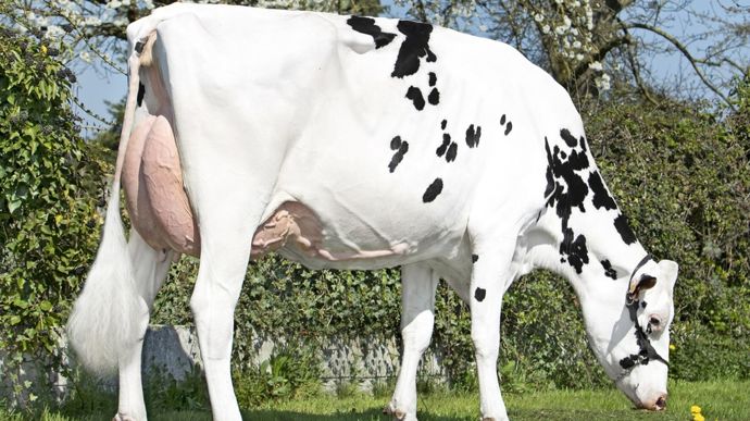 ventedelorne1