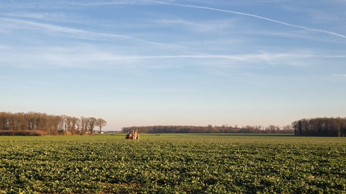 2634caf0-5-les-ventes-de-phytos-conventionnels-ont-recule-en-2024-selon-phyteis