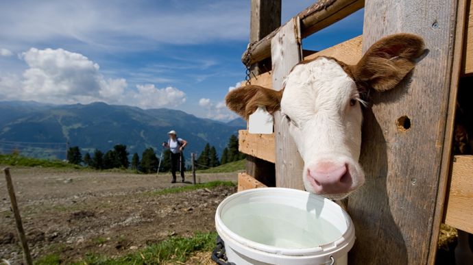 AdobeStock_124150260