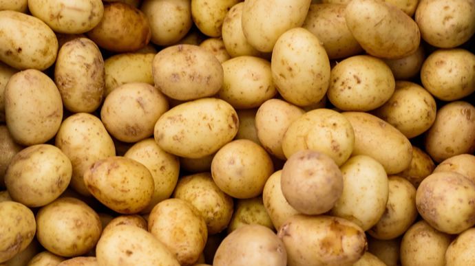 AdobeStock_159505511