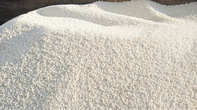 AdobeStock_412261476