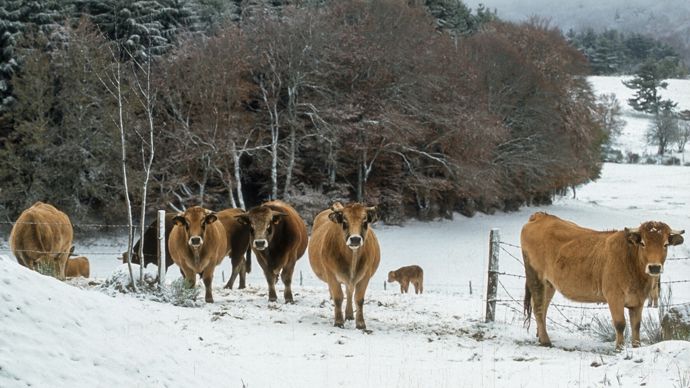 AdobeStock_528267079