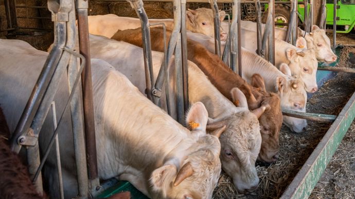 AdobeStock_576268284