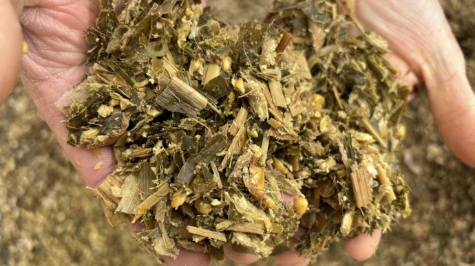 ensilagedemaiseclatementgrains