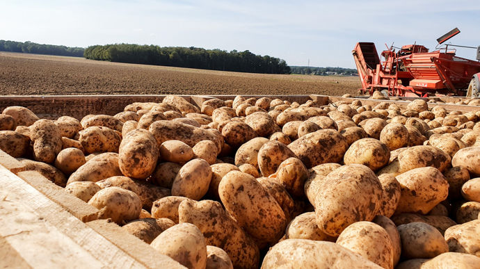 210921161907-ARRACHAGECHAMPPALOXPOMMESDETERRE-crEditNadEgePetit-agri_zoom_